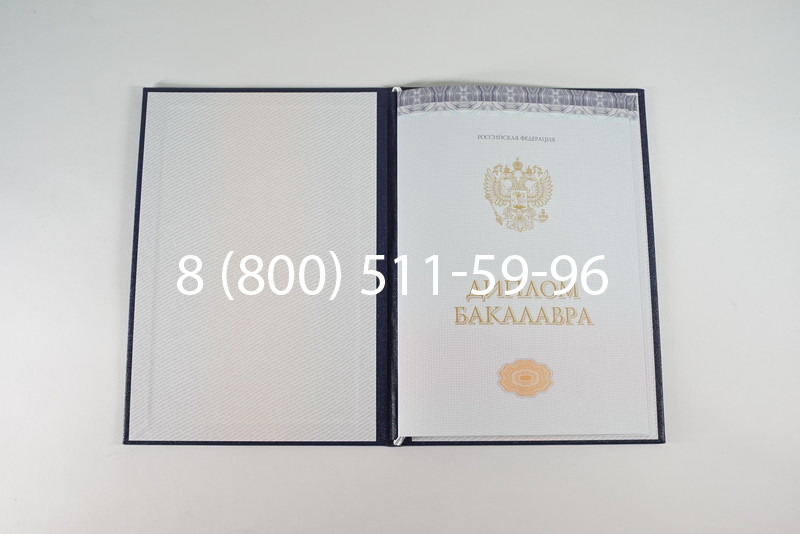 Диплом бакалавра (Киржач) 2014-2024 года в Белгороде