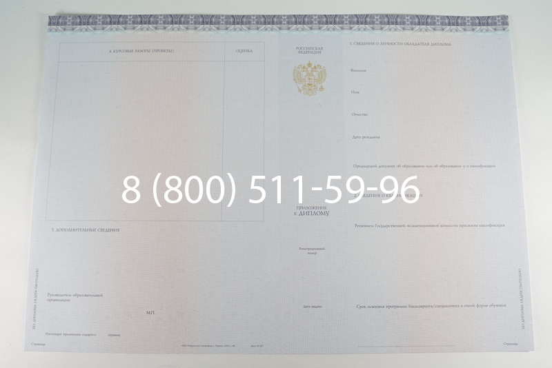 Диплом бакалавра (Киржач) 2014-2024 года в Белгороде