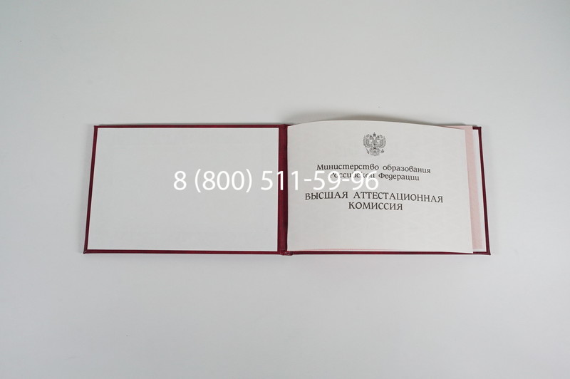 Диплом доктора наук 1995-2006 года в Белгороде Диплом доктора наук 1995-2006 года в Белгороде
