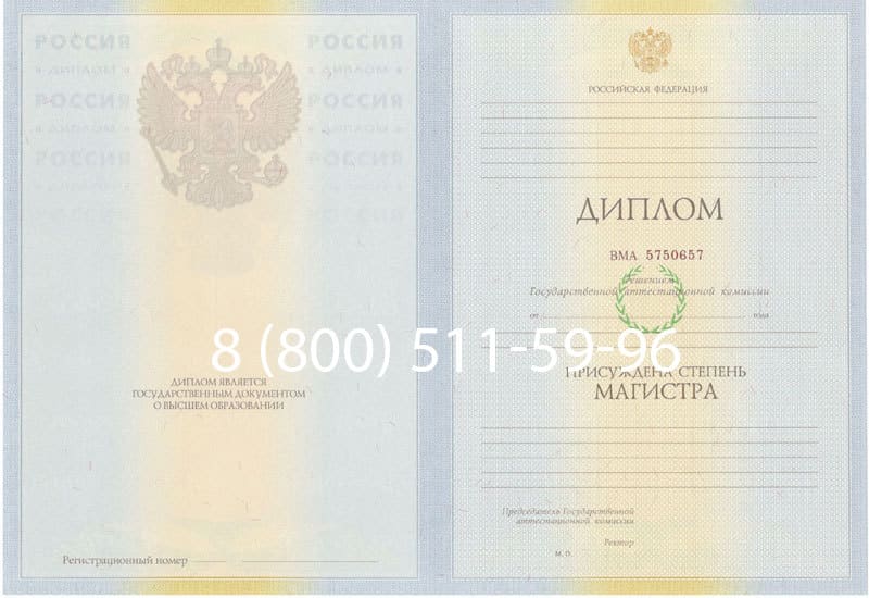 Купить Диплом магистра 2010-2011 годов в Белгороде